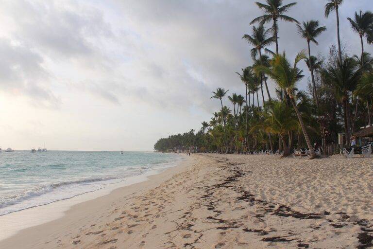 Mindful Sustainable Living Communities: Creating Spaces for Connection and Collaboration