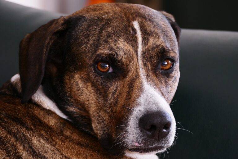 Transforming a Loft into Usable Space