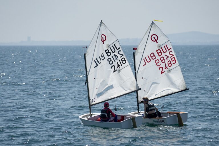 The Impact of Cricket World Cups on Host Nations