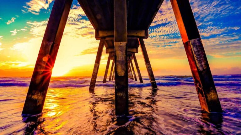 How Can Users Enable 99Exch Fast Login On Mobile?